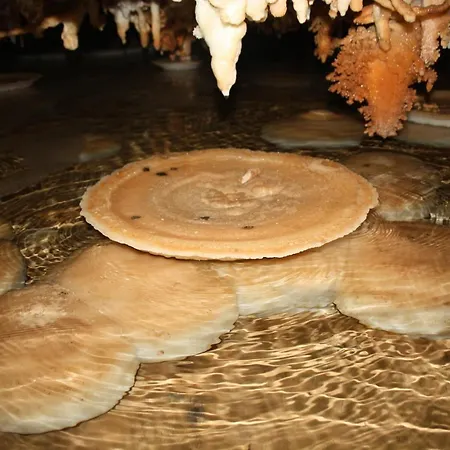 Marcarius * Флуминимаджоре
