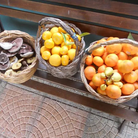 住宿加早餐酒店 Marcarius 弗卢米尼马焦雷