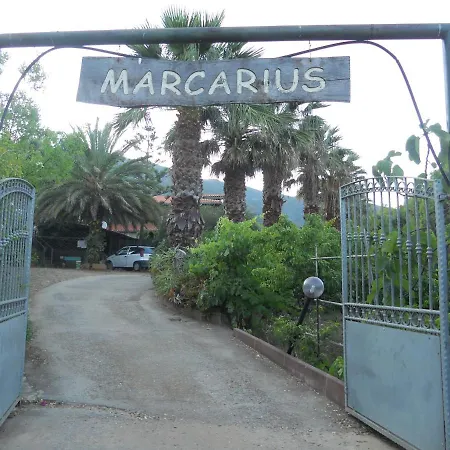 Marcarius *