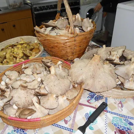 Oda ve Kahvaltı Marcarius Fluminimaggiore